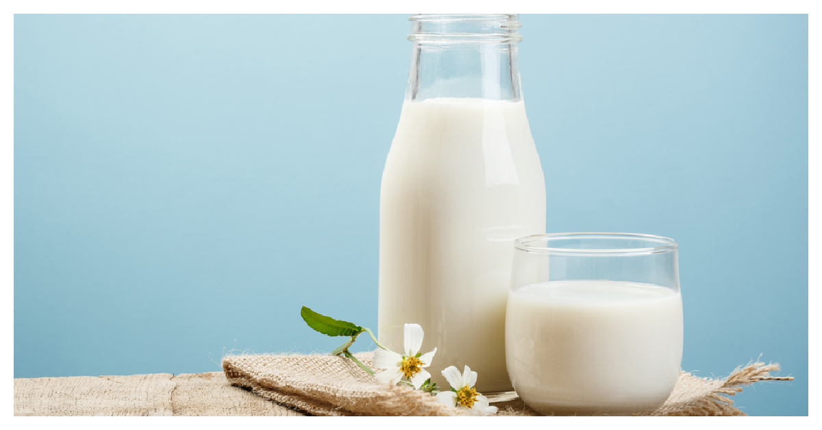 Сколько калорий в разных видах молока (коровье, овечье, козье) и какое из них больше подходит для употребления?