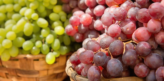 The multiple benefits of grapes
