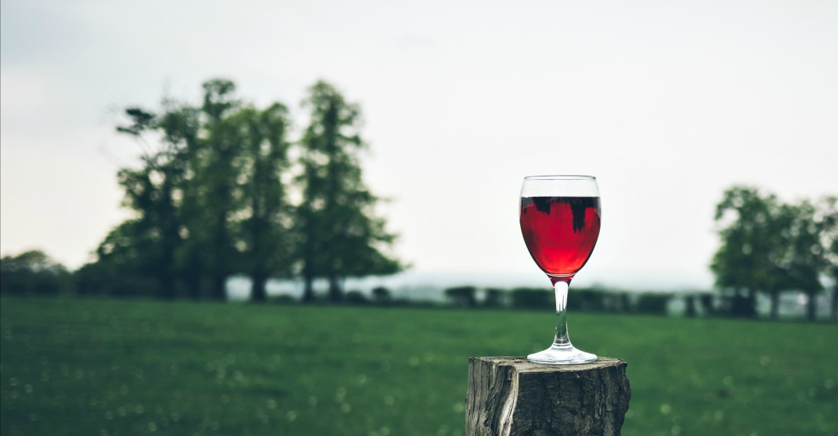10 lucruri pe care orice femeie ar trebui sa le stie despre vin