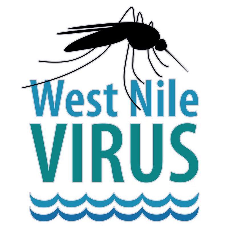 Западный Нил, болезнь, передаваемая пациентами: симптомы, диагностика и лечение