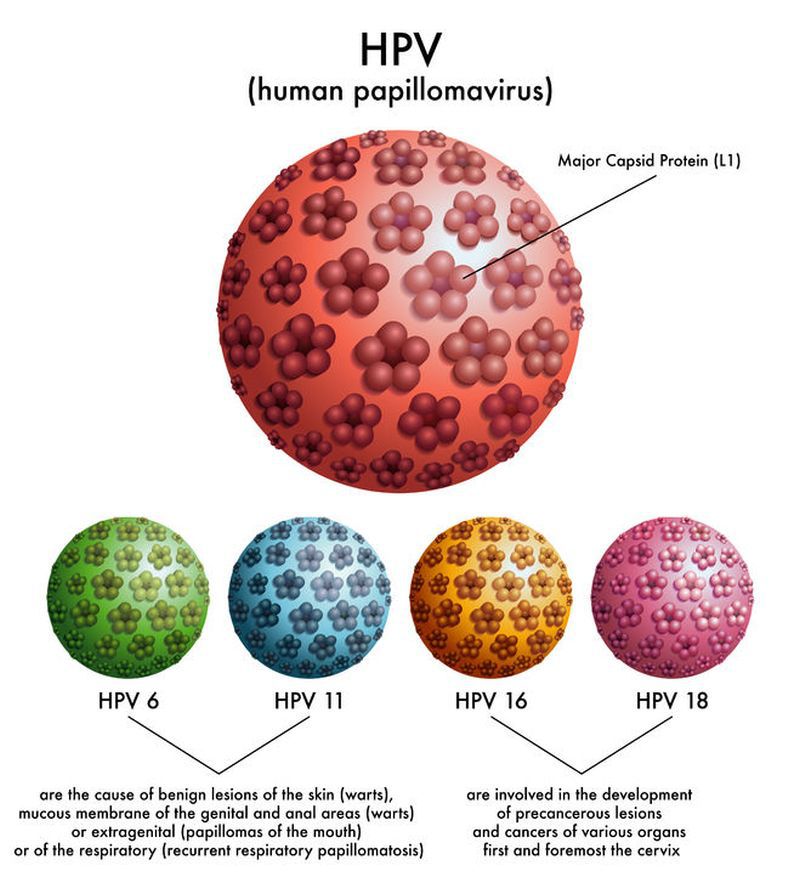 Infecţia cu HPV, testarea HPV şi eficienţa vaccinului HPV (Virusul Papilloma Uman)