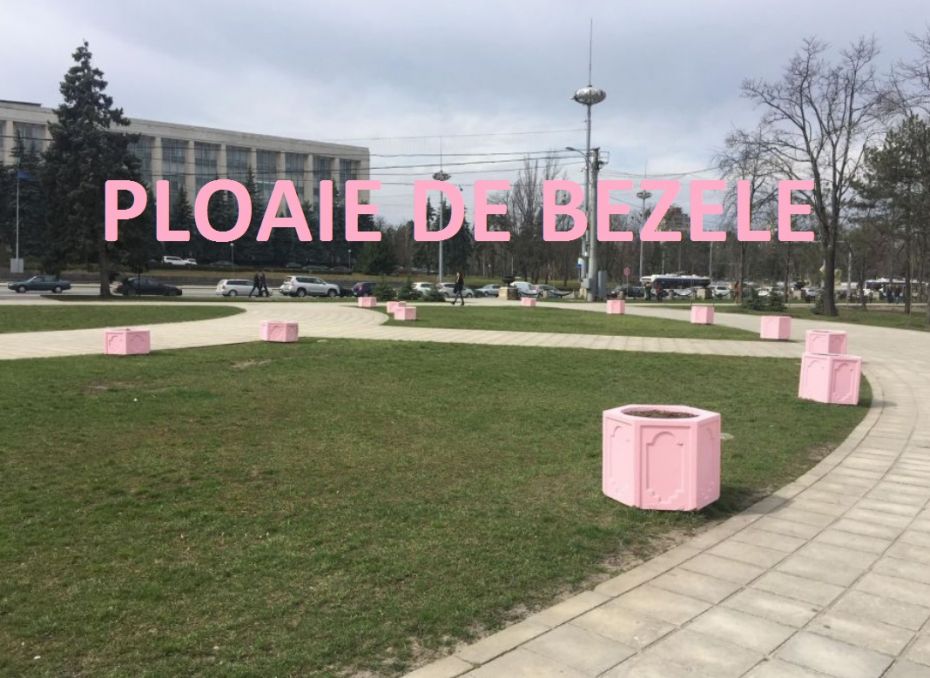 (photo) Make Moldova Pink Again: The most glamorous meme with the big pink velvet in Chisinau