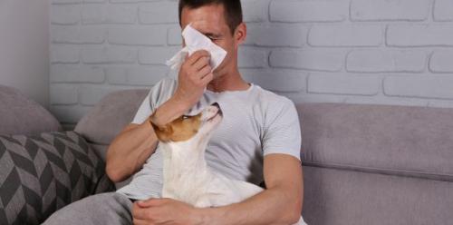 Allergies caused by pets