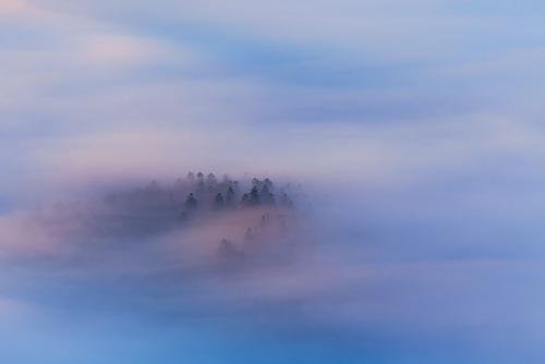 (photo) Under fog.