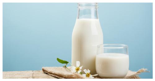 How many calories are there in different types of milk (cow, sheep, goat) and which one is more suitable for consumption?