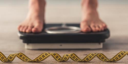 How does intestinal bacteria influence the weight?