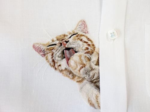 (photo) Pocket cat.