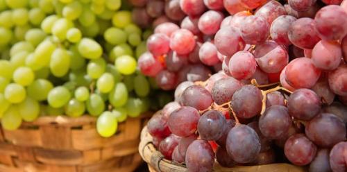 The multiple benefits of grapes