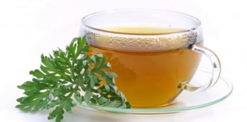 Tea efficiency in the detoxification process