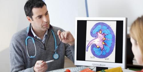 Four diseases that can affect your kidneys