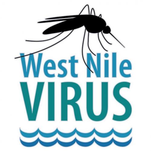 West Nile, disease transmitted by patients: symptoms, diagnosis and treatment