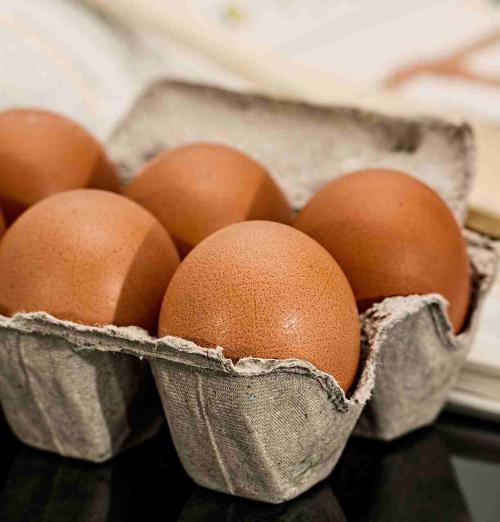 Egg consumption does not increase the risk of cardiovascular disease: STUDY