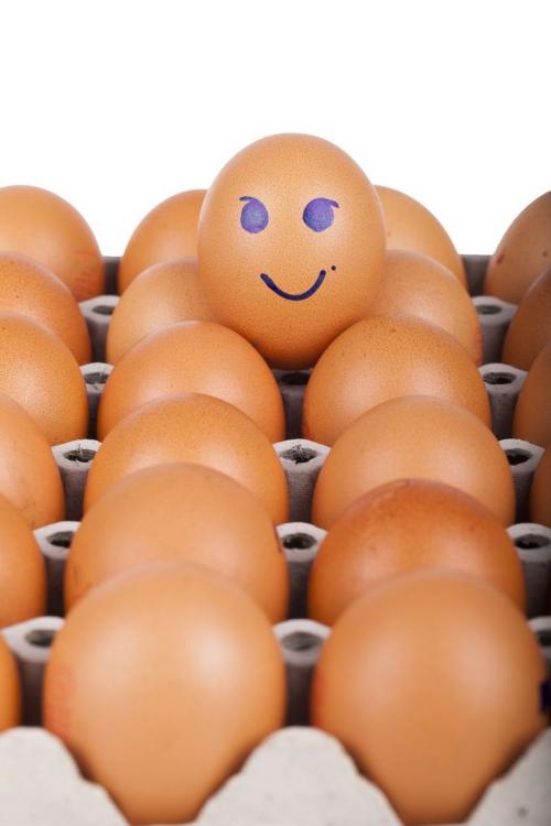 De ce nu este bine să ţii ouăle pe uşa frigiderului