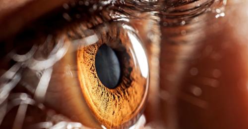 People with brown eyes have incredible superpowers